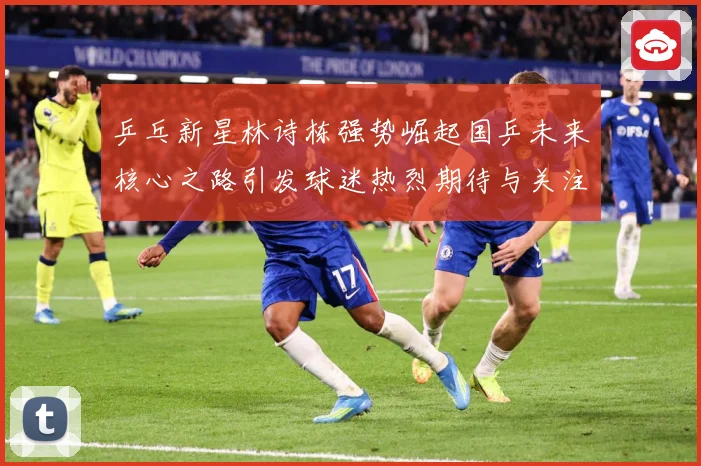 乒乓新星林诗栋强势崛起国乒未来核心之路引发球迷热烈期待与关注赛场解读-深度解析